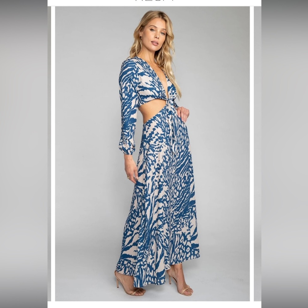 RESA Blue and White Maxi Dress - Picture 3 of 6